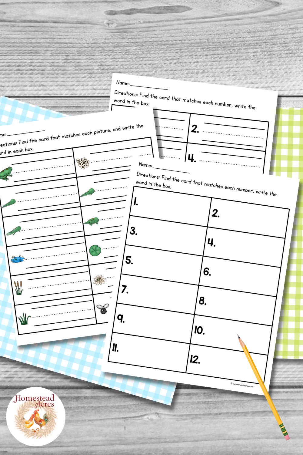 Frog life cycle write the room recording worksheets with picture prompts for frog. eggs. tadpole. tadpole with 2 legs. tadpole with 4 legs. froglet. pond. lily pad. cattails. water lily. grass. and fly. The pages include numbered boxes and lined spaces for students to write the matching words.
