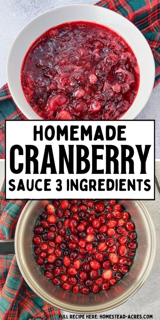 Homemade cranberry sauce with whole berries is shown in a white bowl above fresh cranberries simmering in a saucepan. Title text reads "HOMEMADE CRANBERRY SAUCE 3 INGREDIENTS".