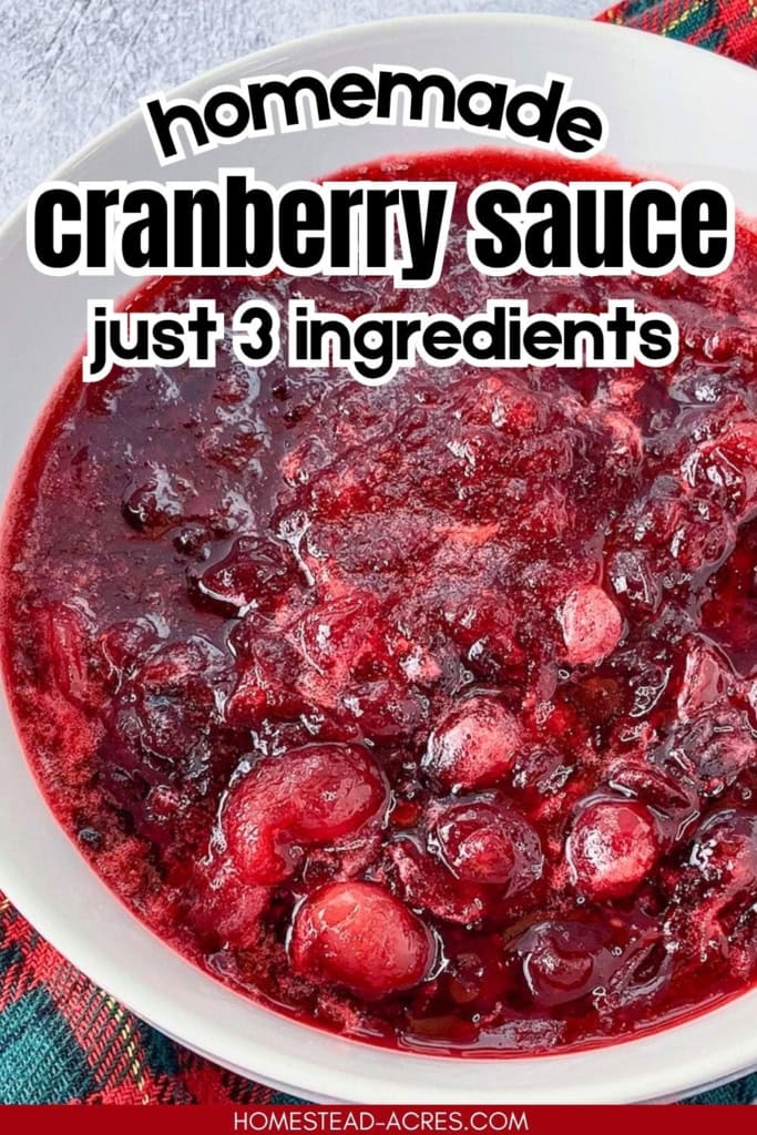 Homemade cranberry sauce with whole and burst cranberries fills a white bowl with a red and green plaid cloth underneath. Title text reads "homemade cranberry sauce just 3 ingredients".
