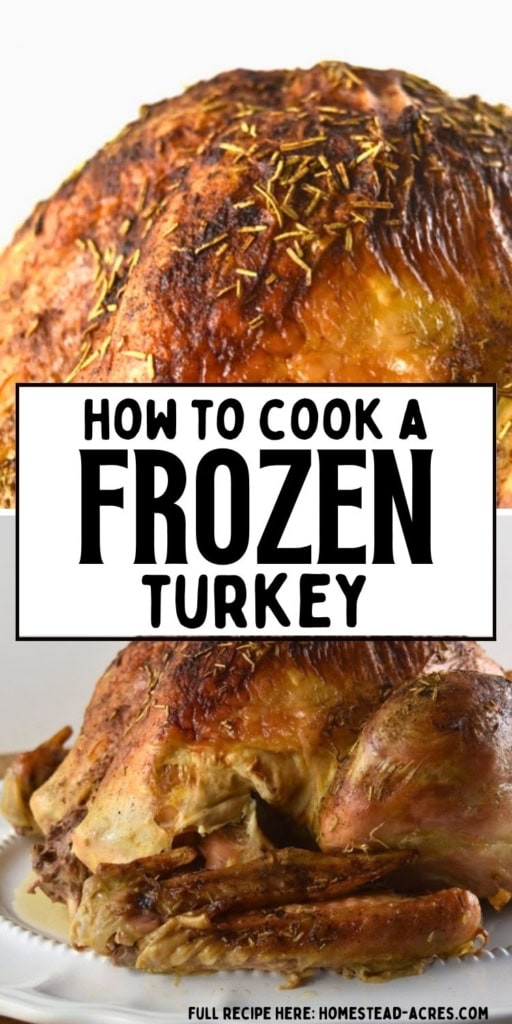 Roasted turkey with deeply browned seasoned skin rests on a white serving platter. Title text reads "HOW TO COOK A FROZEN TURKEY".