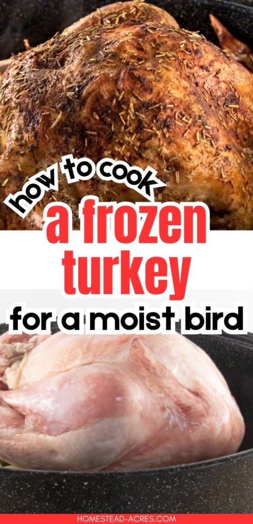 A seasoned roasted turkey with crisp browned skin is shown above a raw frozen turkey sitting in a roasting pan. Title text reads "how to cook a frozen turkey for a moist bird".