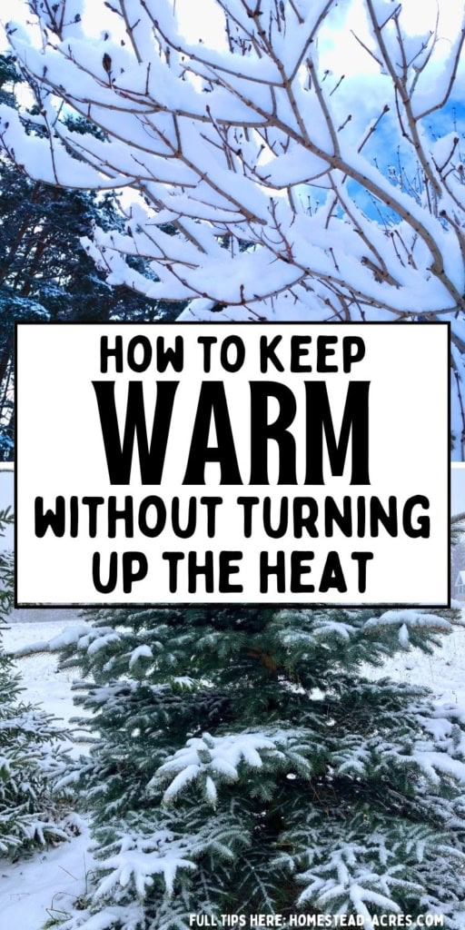 Snow covered evergreen trees and bare branches create a cold winter scene behind a large white text box. Title text reads "HOW TO KEEP WARM WITHOUT TURNING UP THE HEAT".