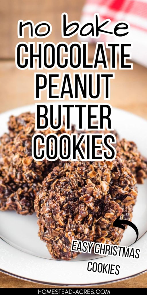 Chocolate peanut butter no bake cookies made with oats are stacked on a white plate. Title text reads "no bake CHOCOLATE PEANUT BUTTER COOKIES" and "EASY CHRISTMAS COOKIES".