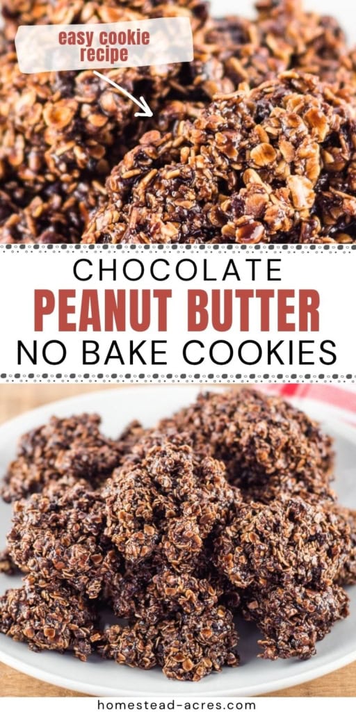 Chocolate peanut butter no bake cookies made with oats are shown close up and piled on a white plate. Title text reads "easy cookie recipe" and "CHOCOLATE PEANUT BUTTER NO BAKE COOKIES".