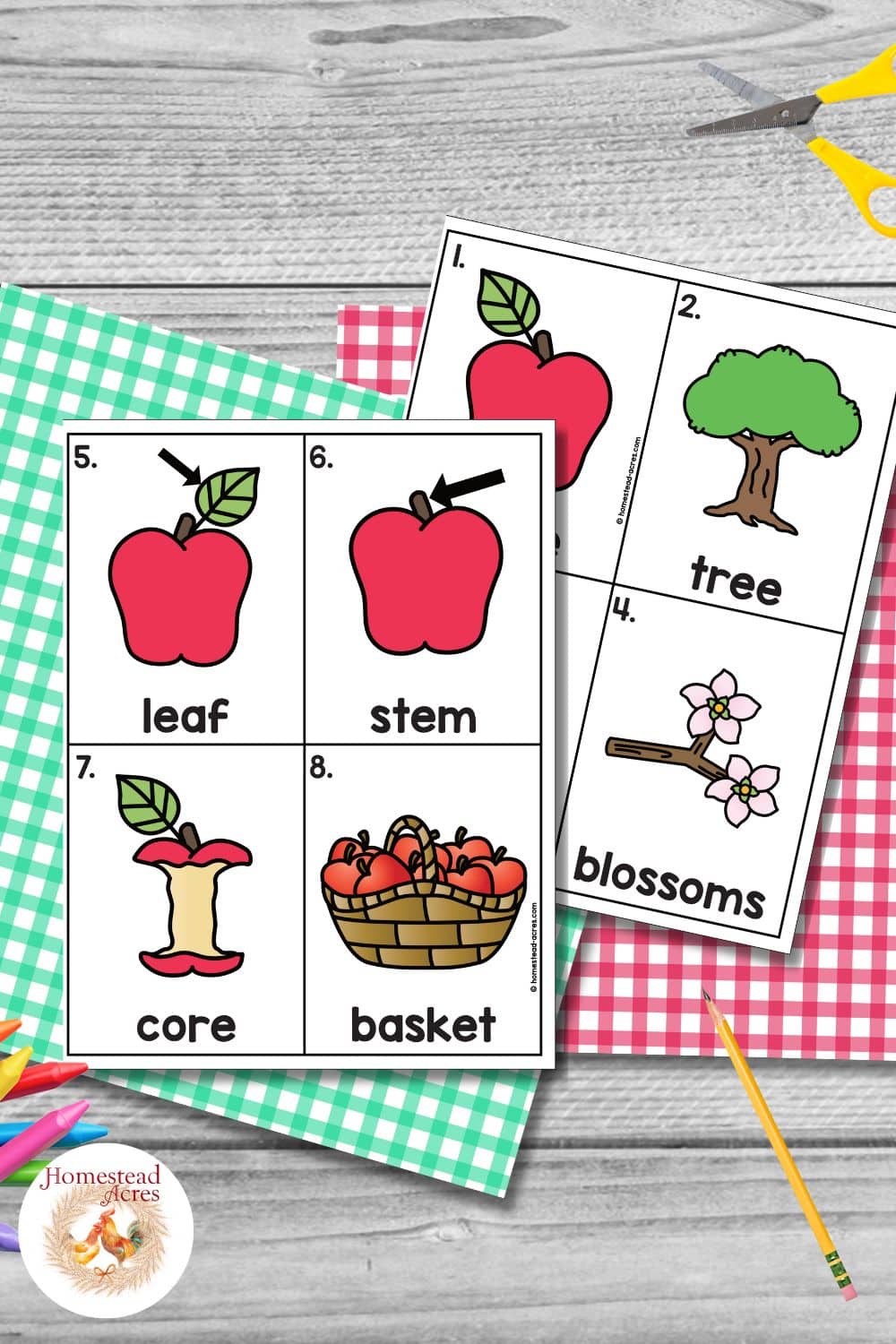 Color apple write the room vocabulary cards before cutting them apart with pictures and labels for apple, tree, blossoms, leaf, stem, core, and basket. The cards are arranged with scissors, a pencil, and colorful gingham paper.