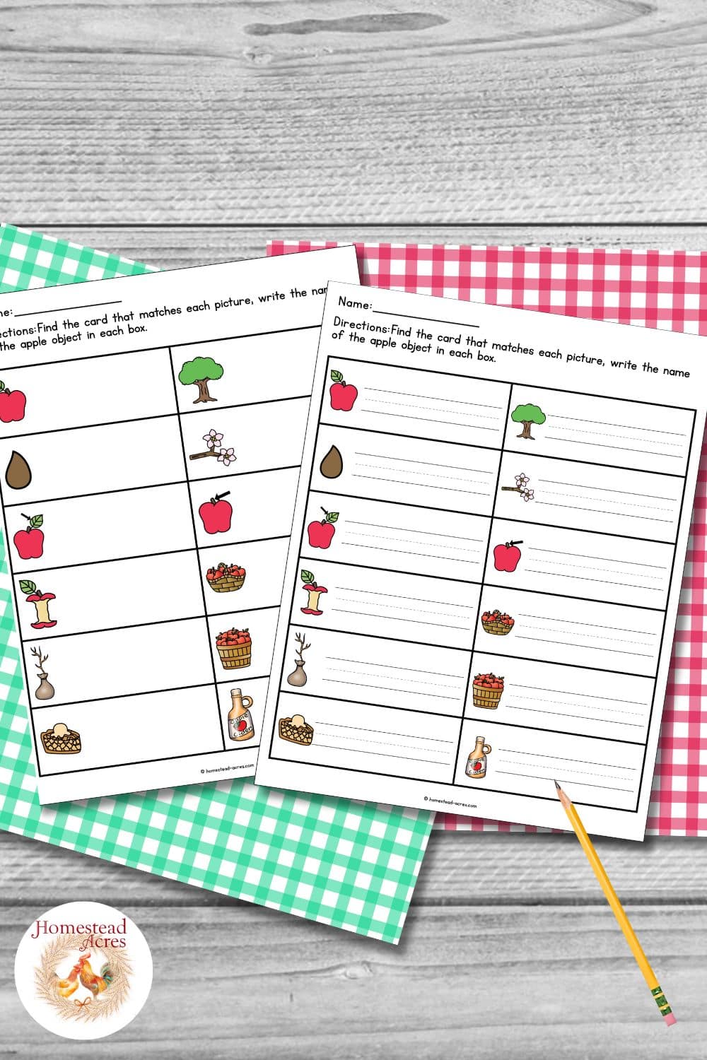 Color apple write the room recording worksheets with picture prompts for apple. tree. seed. blossoms. leaf. stem. core. basket. sapling. bushel. apple pie. and apple cider. The worksheets include lined spaces for students to write the matching apple themed words.