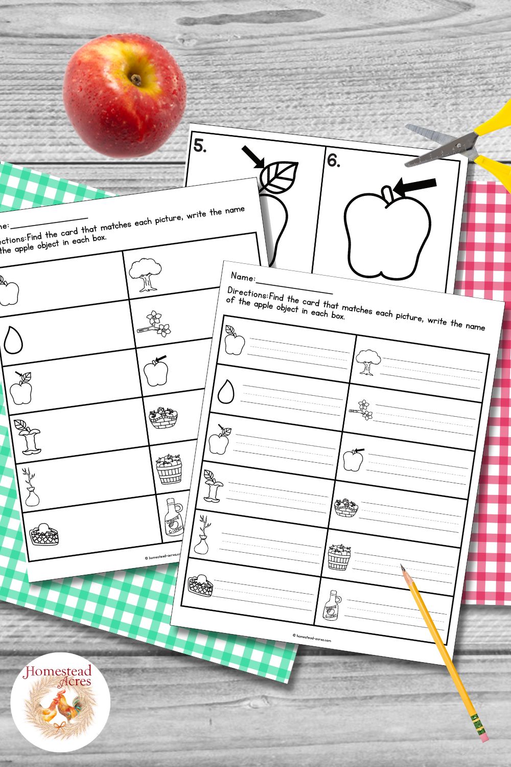Black and white apple write the room recording worksheets with picture prompts for apple. tree. seed. blossoms. leaf. stem. core. basket. sapling. bushel. apple pie. and apple cider. The printable pages are arranged with a red apple. scissors. pencil. and gingham paper.