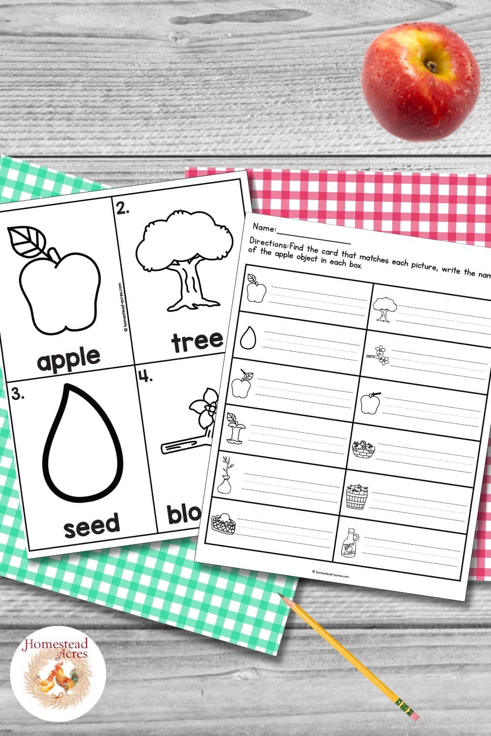 Black and white apple write the room printable with vocabulary cards for apple, tree, seed, and blossoms beside a recording worksheet with picture prompts for apple themed words. The pages are arranged with a red apple, pencil, and gingham paper.