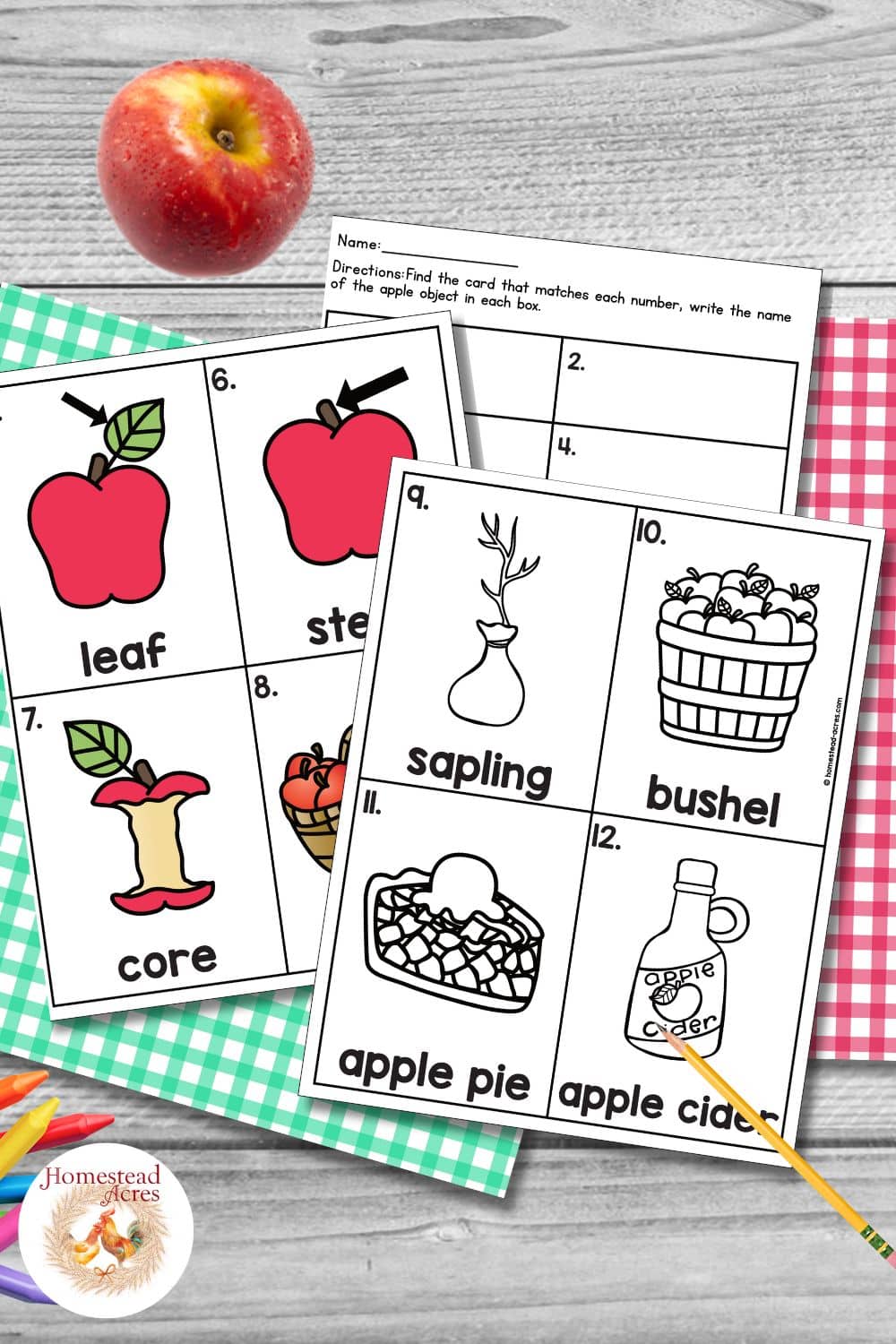 Apple write the room activity with vocabulary cards for leaf, stem, core, sapling, bushel, apple pie, and apple cider beside a numbered recording worksheet. The printable pages are arranged with a red apple, pencil, and gingham paper.