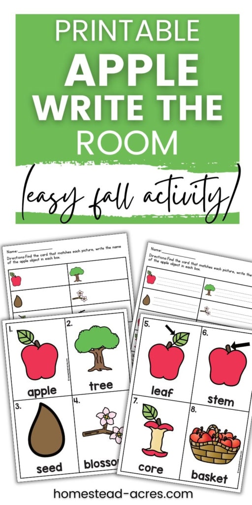 Printable apple write the room activity with recording worksheets and vocabulary cards for apple, tree, seed, blossom, leaf, stem, core, and basket. Text reads "PRINTABLE APPLE WRITE THE ROOM" and "easy fall activity".