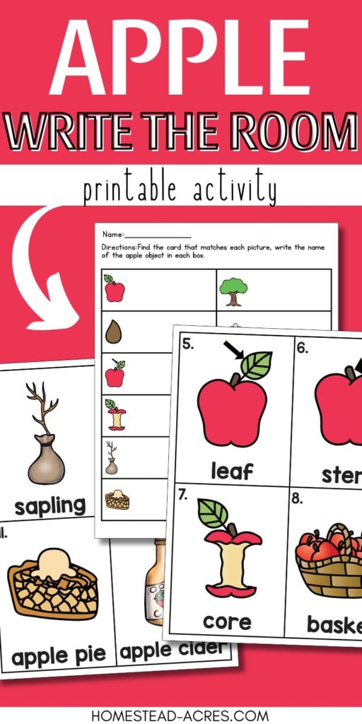 Apple write the room printable activity with matching worksheets and vocabulary cards for sapling, apple pie, apple cider, leaf, stem, core, and basket. Text reads "APPLE WRITE THE ROOM printable activity".