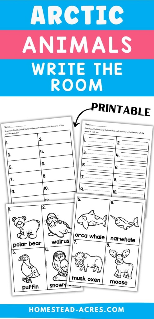 Printable Arctic animals write the room activity with black and white animal cards and recording sheets arranged on a white background with bright blue and pink accents. Title text reads "ARCTIC ANIMALS WRITE THE ROOM". "PRINTABLE".