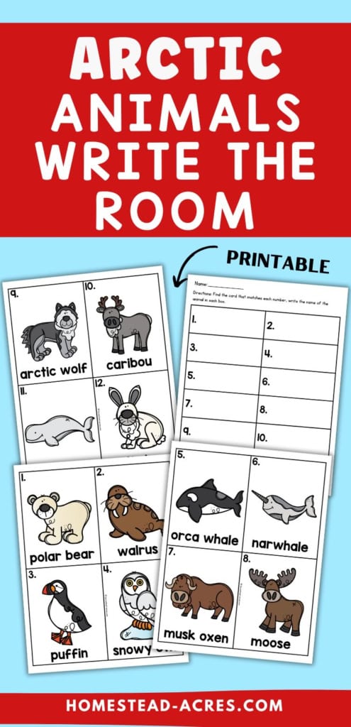Printable Arctic animals write the room activity with illustrated animal cards and a matching recording sheet arranged on a light blue background. Title text reads "ARCTIC ANIMALS WRITE THE ROOM". "PRINTABLE".