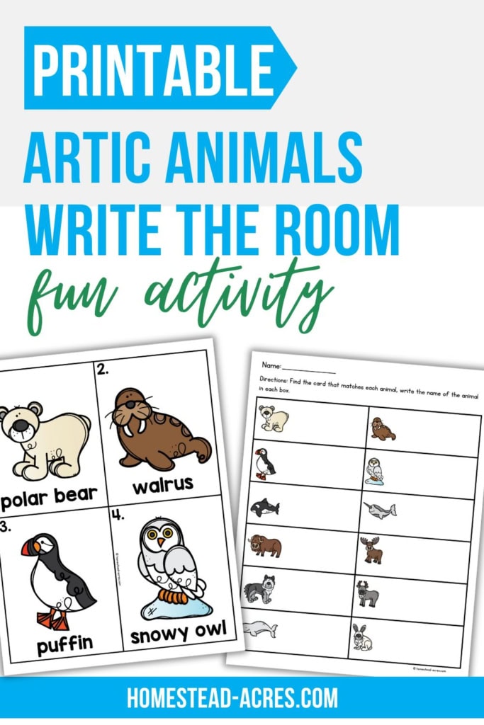 Printable Arctic animals write the room activity featuring colorful animal cards and a matching recording sheet arranged on a clean white background with blue accents. Title text reads "PRINTABLE ARCTIC ANIMALS WRITE THE ROOM fun activity".