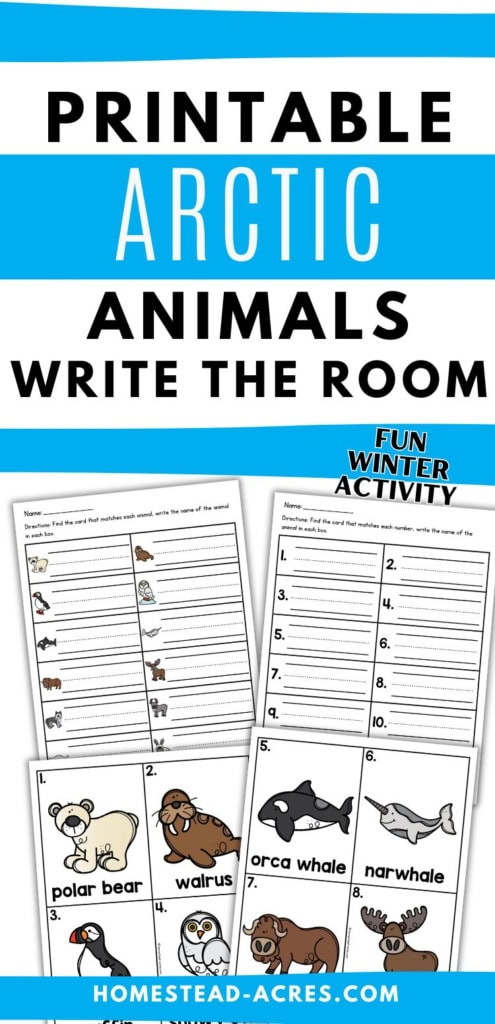 Printable Arctic animals write the room activity with colorful animal cards and recording sheets arranged on a white background with bright blue accents. Title text reads "PRINTABLE ARCTIC ANIMALS WRITE THE ROOM". "FUN WINTER ACTIVITY".