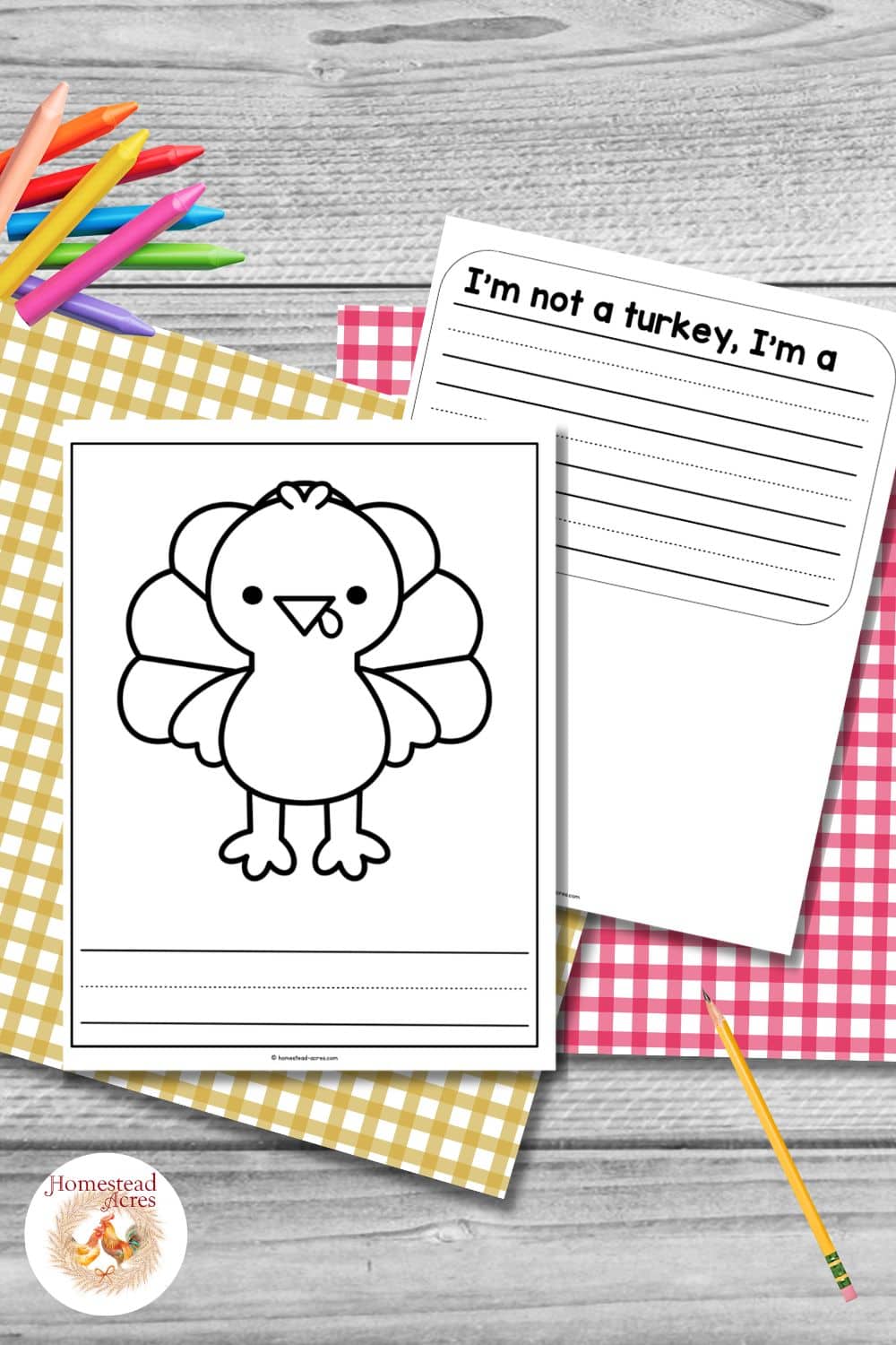 Printable Disguise a Turkey activity with a blank turkey coloring page and a lined writing worksheet arranged with colorful pencils and gingham paper. Text reads "I&rsquo;m not a turkey, I&rsquo;m a".