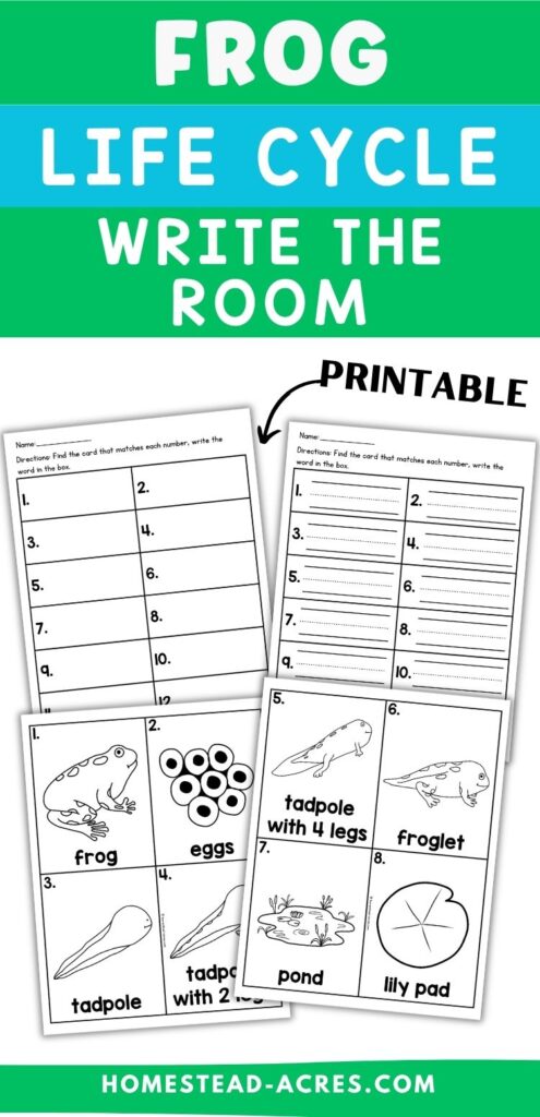 Black and white printable frog life cycle write the room activity with recording worksheets and vocabulary cards for frog, eggs, tadpole, tadpole with 2 legs, tadpole with 4 legs, froglet, pond, and lily pad. Text reads "FROG LIFE CYCLE WRITE THE ROOM" and "PRINTABLE".