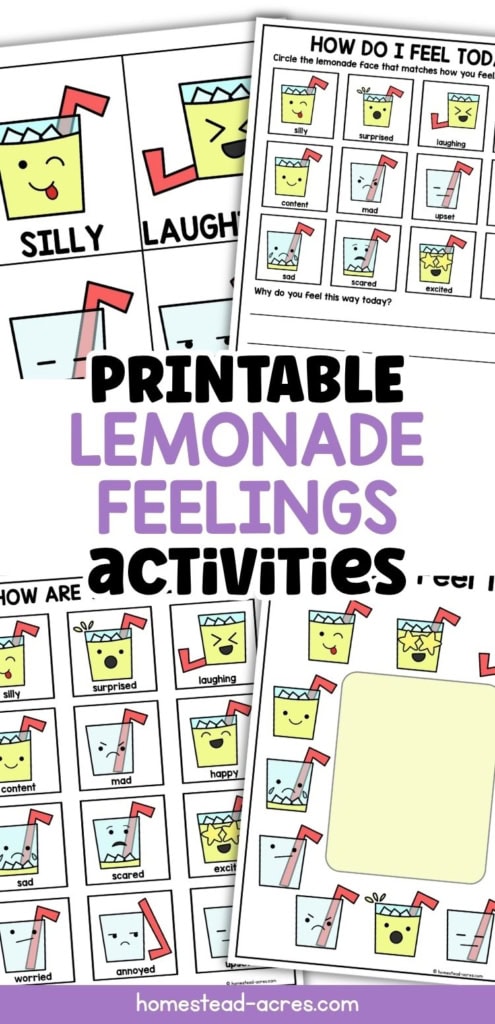 Printable lemonade feelings activities with colorful lemonade cup emotion cards. a feelings chart. and a check in worksheet for children to identify and discuss emotions. Title text reads "PRINTABLE LEMONADE FEELINGS ACTIVITIES".