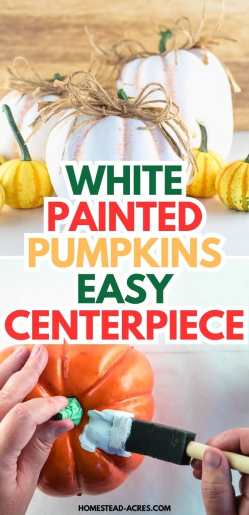 Hands use a foam brush to paint an orange plastic pumpkin white while finished white pumpkins with twine bows sit behind it among small yellow gourds. This tutorial shows how to paint plastic pumpkins for a simple fall centerpiece. Title text reads "WHITE PAINTED PUMPKINS EASY CENTERPIECE".